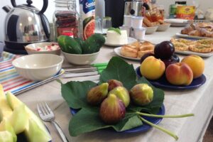 LE GIRAVOLTE COLAZIONE 17