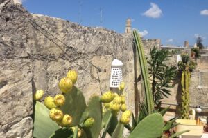 LE GIRAVOLTE DETTAGLI 03